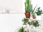 Awesome Indoor Garden Ideas Wannabe Gardeners Small Spaces
