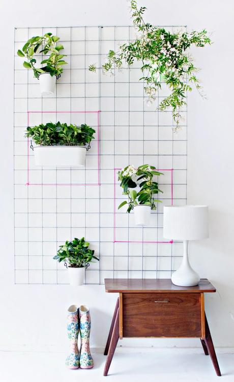 Indoor Vertical Garden