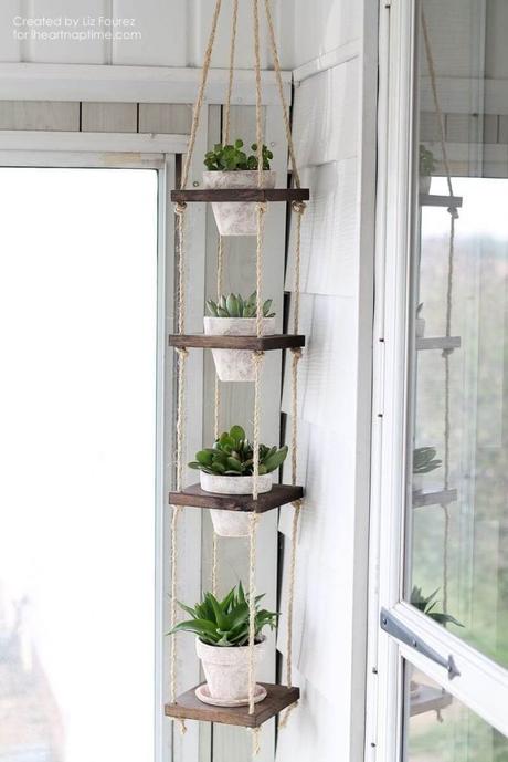 indoor cactus garden ideas