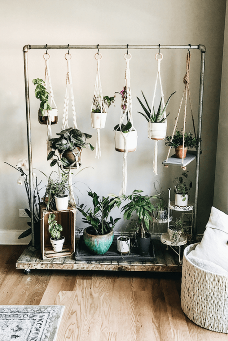 indoor garden gift ideas