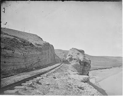 Belated Tree-following at Fossil Lake