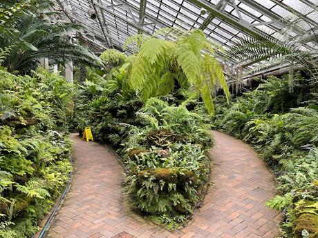 Fern House at the Garfield Park Conservatory