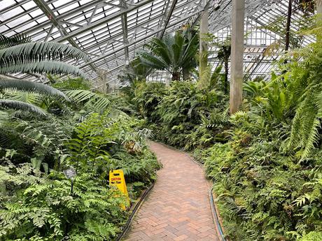 Fern House at the Garfield Park Conservatory