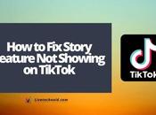 Story Feature Showing TikTok