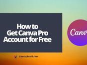 Canva Account Free