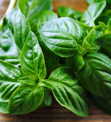 7 Basil Substitutes That Will Recreate the Flavor of The Real Deal