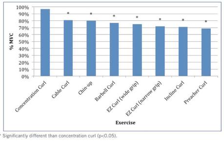 Concentration Curls Dumbbells Study