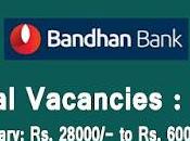 Bandhan Bank Recruitment 2022 5000 Latest Vacancy Apply Online