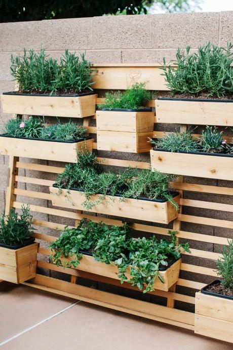 herb garden ideas pinterest