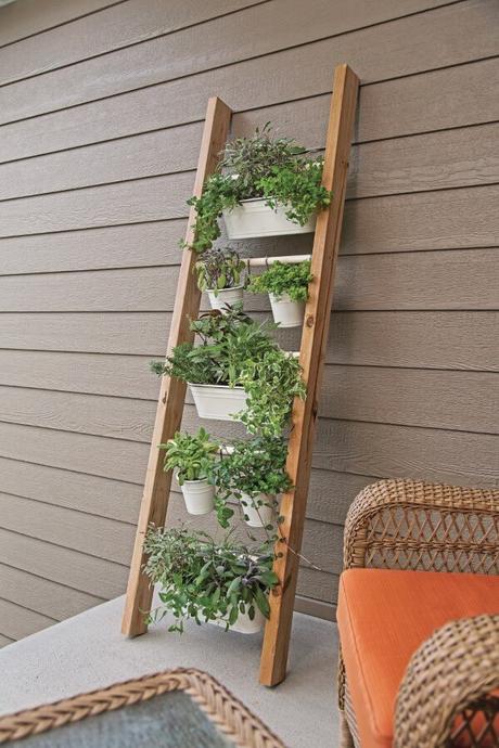 small herb garden ideas