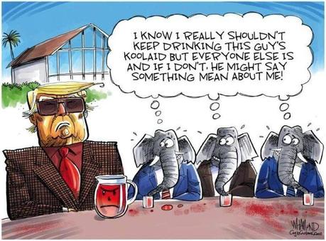 Still Drinking The Koolaid