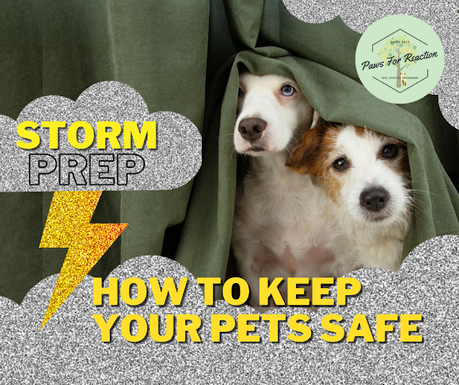 Ottawa severe thunderstorm: Storm safety preparation tips & what to do during a tornado