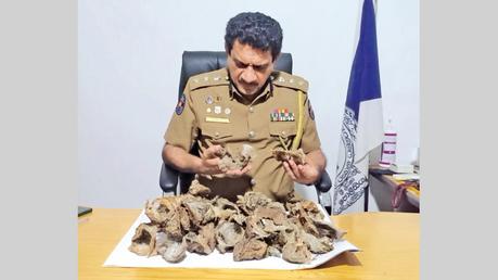 Badulla SSP Sujith Wedamulla inspecting a haul of swallows’ nests worth Rs 1 million seized in Badulla on Wednesday. Picture by Nishantha  Abeygunawardena