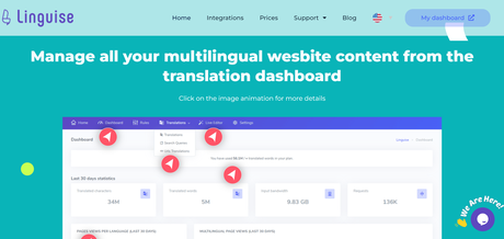 Linguise Review 2022: Is the Best Automatic WordPress Translation Plugin?