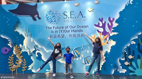Ocean Fest 2022 at S.E.A. Aquarium - A Colourless Ocean