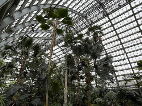 Palm House at the Garfield Park Conservatory