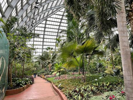 Palm House at the Garfield Park Conservatory