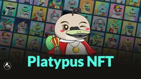 Platypus Finanace and the world of NFTs