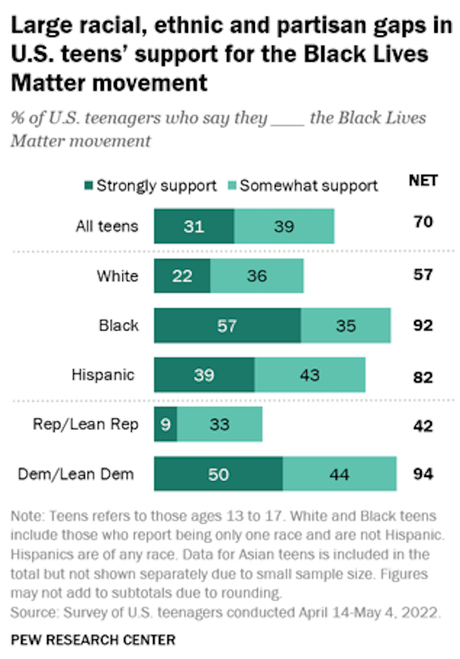 Support For The Black Lives Matter Movement
