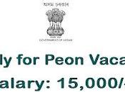 Office Amingaon Recruitment 2022 Apply Peon Vacancy