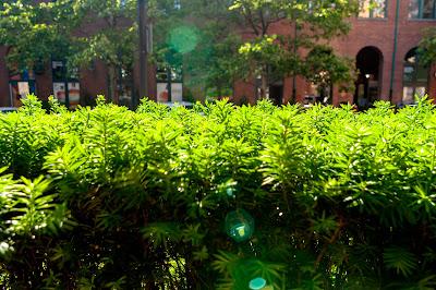 Transition Zone [Hoboken, NJ]