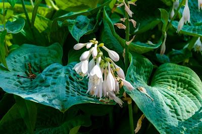 Transition Zone [Hoboken, NJ]