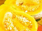 Mouthwatering Hubbard Squash Recipes