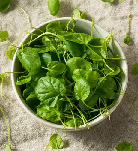 8 Flavorsome Watercress Substitutes You Can Use In A Pinch