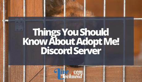 Things You Should Know About Adopt Me! Discord Server