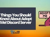 Things Should Know About Adopt Discord Server