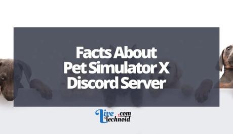 Facts About Pet Simulator X Discord Server