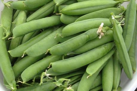 Succession Planting Vegetables