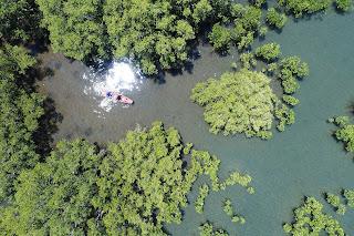 Hamilo Coast is Nurturing Nature for the past 15 years Hamilo Coast is Nurturing Nature for the past 15 years