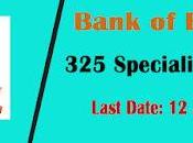 Bank Baroda Recruitment 2022 Apply Specialist Officer Post