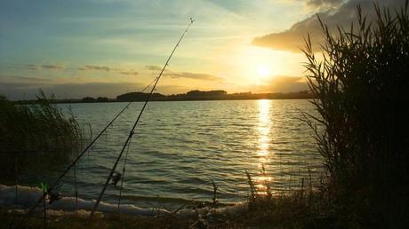 Long fishing rods mounted on the ground on a sunset view background