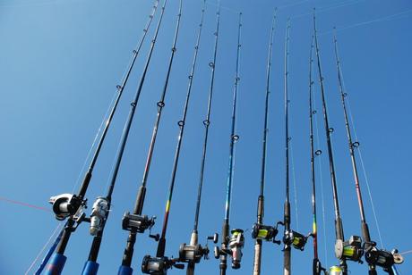 Different types of fishing rods according to fishing style