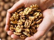 Walnuts During Pregnancy? Here’s What Experts Say!