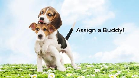 assign a buddy for hiring experts