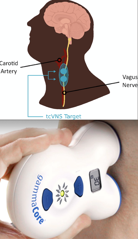 Reduction of stress and inflammatory responses by transcutaneous cervical vagal nerve stimulation