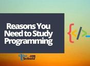 Reasons Need Study Programming