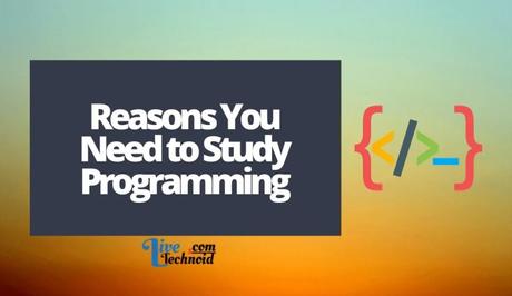 Reasons You Need to Study Programming