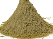 Does White Thai Kratom Improve Your Life Quality?