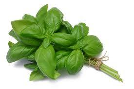 Cure general health issues with Basil leaves.