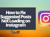 Suggested Posts Loading Instagram