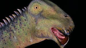 what dinosaur has 500 teeth