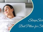 Which Best Pillow Sleeping Perfect Night's Rest?