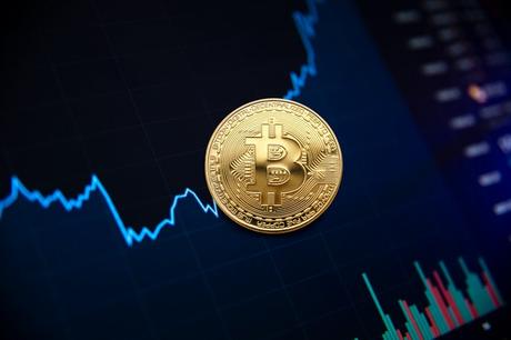 Reasons Why Bitcoin’s Price Will Rise In The Future 2022