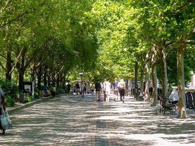 A trip through Hoboken greenery