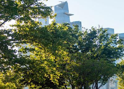 A trip through Hoboken greenery