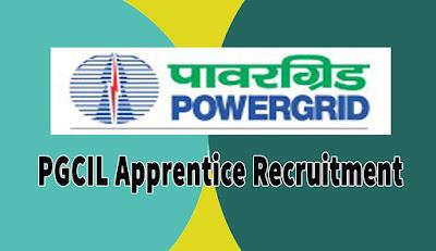 PGCIL Apprentice Recruitment 2022 - 50 Vacancy, Apply Online